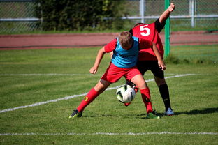 米兰体育登陆-中国足球俱乐部运营效率调查,中国足球俱乐部运营效率调查问卷 第1张 米兰体育登陆-中国足球俱乐部运营效率调查,中国足球俱乐部运营效率调查问卷 第1张