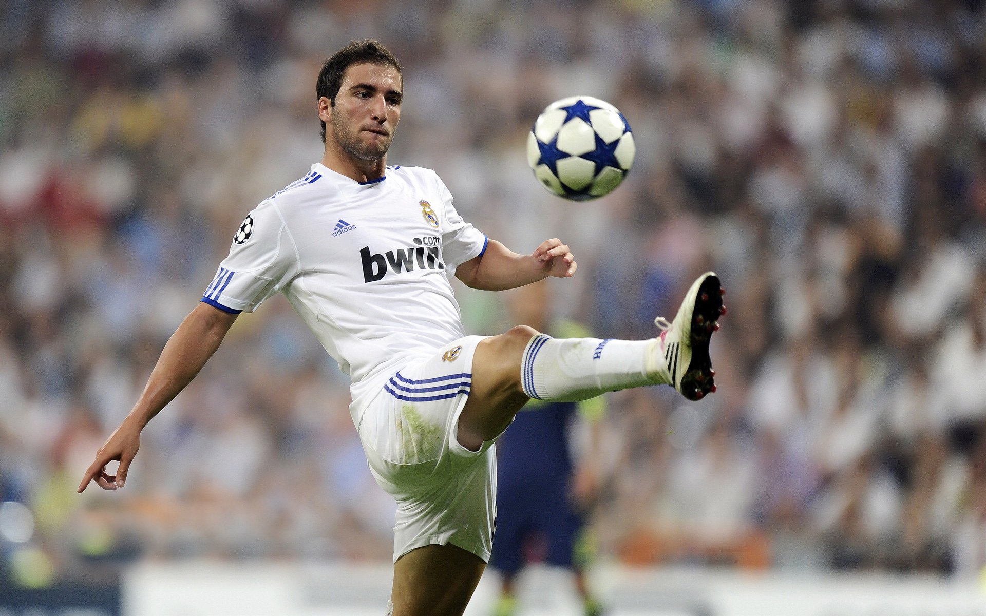 国际网球赛事关注度不断提升